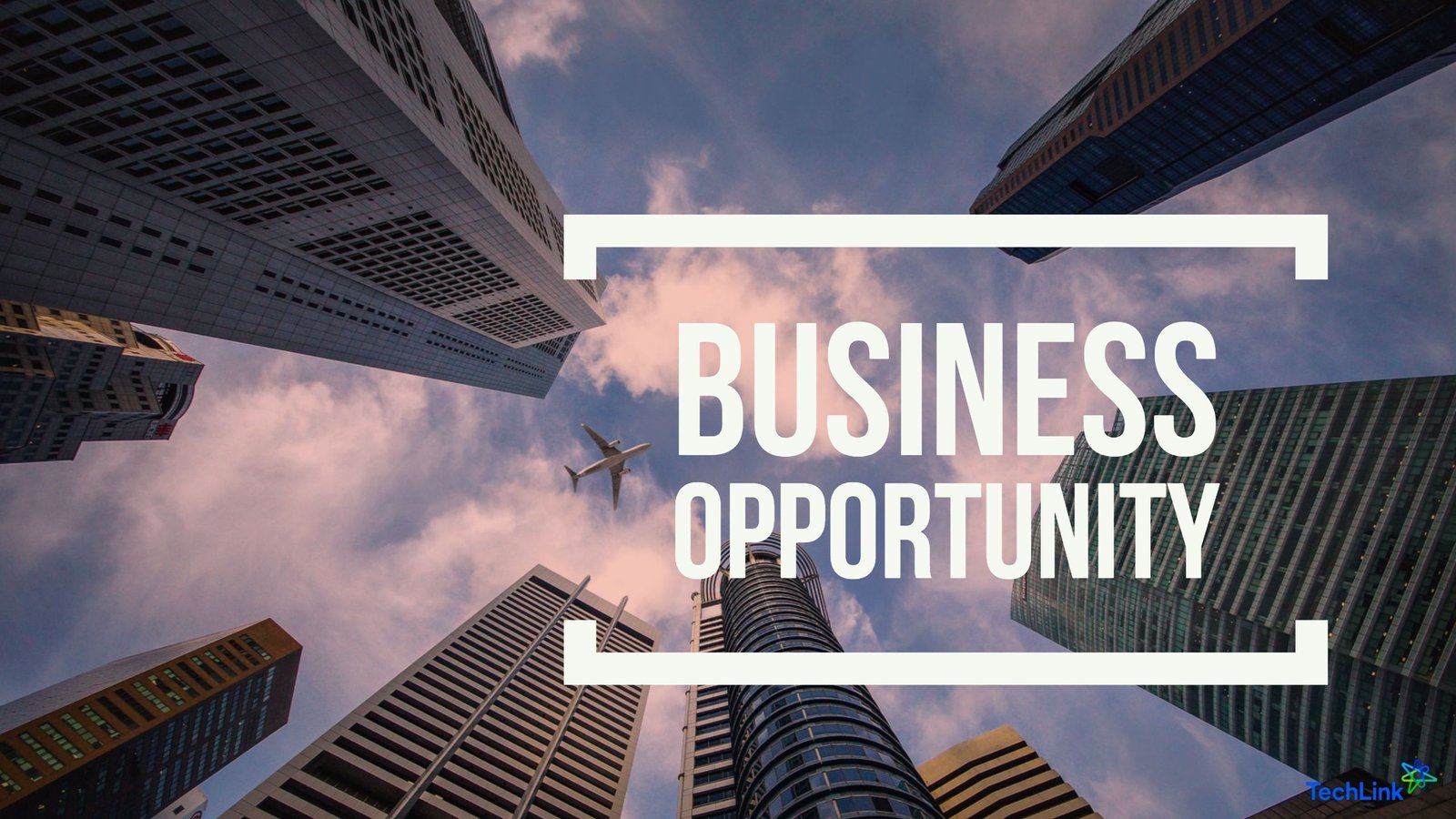 EVALUATING BUSINESS OPPORTUNITIES